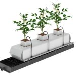 Topraksız Tarım Kanalı